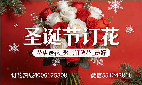 ���ݻ����ػ���